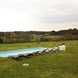  Сasa de vacaciones Mas Goy, Casa Rural Con Piscina España